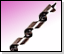 Drill Bits & Grips