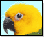 Parrott Headsets