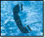 emergency phones, weatherproof phones, built-in phones, emergency use