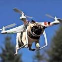DroneEddie Gallery