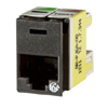 Clarity Cat6a Panel Jack,T568A/B, 8 Pos, 180 Degree