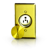 Single Display Receptacle, Brass Plate