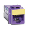 Icons for Jacks, Snap Fit Modules and Adapters (Package of 100)
