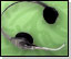 Plantronics Encore Headsets