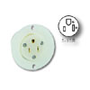 Flanged Outlet Receptacle