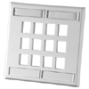 12 Port Dual Gang Plastic Faceplate, Fog White