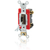 Double-Pole Locking Switch