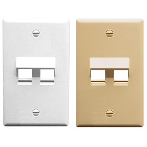 Angled 2-Port 1-Gang Faceplate