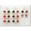 Audio Home Theater Interface Wall Plate