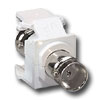 BNC QuickPort Snap-In Module - Nickel Plated 50 Ohm