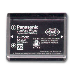 Panasonic Replacement Battery for IBM 4900