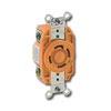 20 AMP, 125/250V Single Flush Receptacle with Isolated Ground