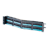 Angled Clarity 5E  Modular to 110 Patch Panel