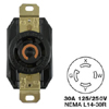 AC Receptacle NEMA L14-30 Female Black 125/250 Volt 30 Amp