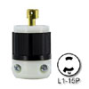 15 Amp, 125 V 2P, 2W Locking Plug - Industrial Grade