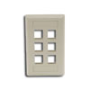 IFP Single Gang Wall Plate - 6 Ports