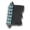 24 Fiber Reduced Depth CCH Module