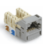 Cat 6 Information Outlet