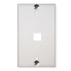 1- Port Flush Telephone Wall Plate