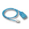 IC110 To 8P8C Patch Cord, T568A, Blue