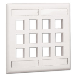 Panduit NetKey Double Gang Flush Mount Vertical Screw-on Faceplate with Labels