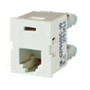 TracJack Module, Wiremold Ivory