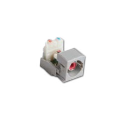 Commscope RCA to 110 Punchdown Module