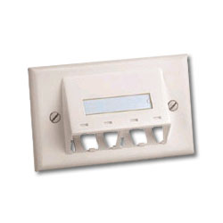 Panduit Mini-Com Classic Series Sloped Faceplates with Label and Label Cover