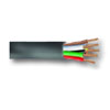 Riser Security Cable with 22 AWG Conductor