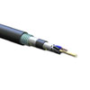 ALTOS Loose Tube, Gel-Free, Double-Jacket, Single-Armored Single-mode 12-Fiber Cable