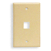 1-Port 1-Gang Faceplate