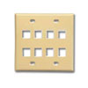 Double Gang Faceplate - 8 Port