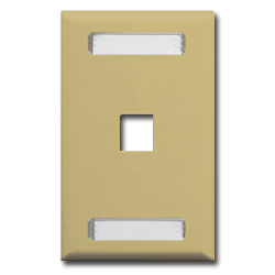 ICC 1 Port Faceplate With ID