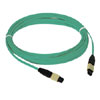 10 Gig, 12F, 50/125um, Multimode, Plenum Fiber Optic Patch Cord - MPO / MPO