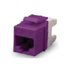 Cat 6 E-Z Jack, Purple
