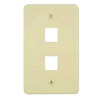 Two Port Versatap Faceplate