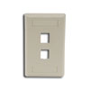 IFP Single Gang Wall Plate - 2 Ports