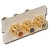 Infin-e-Station RCA Feed-Through Module