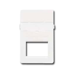 MAX Danish Faceplate