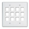2-Gang, 12-Port Wall Plate