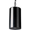 One-Way Pendant Speaker