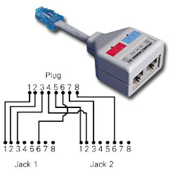 Siemon 4-Pair T568A/T568B Jack Modular Y-Adapter for 10BASE-T Applications