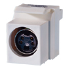 S-Video Keystone Module, (4-pin DIN) to 110 (Package of 20)