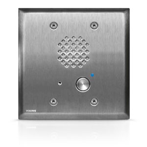 Viking Double Gang Entry Phone with LED