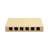 6-Port Surface Mount Box